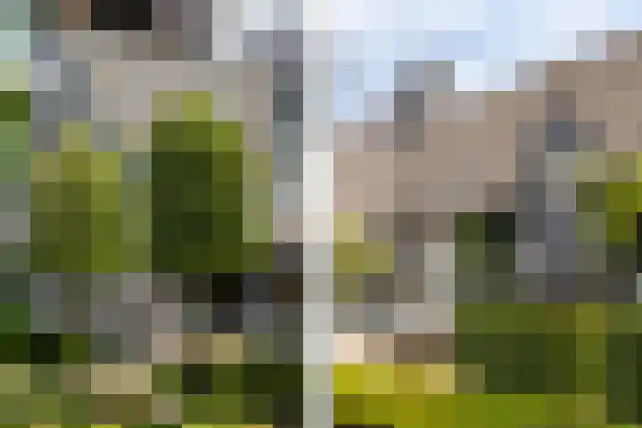 Montenspark 2 B Breda thumbnail 35