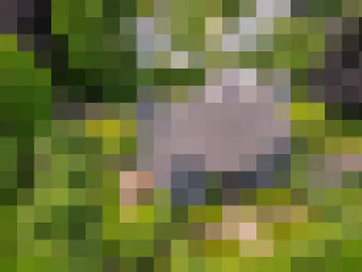 Montenspark 2 B Breda thumbnail 36