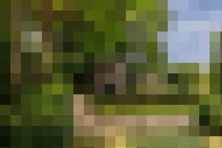 Montenspark 2 B Breda thumbnail 37