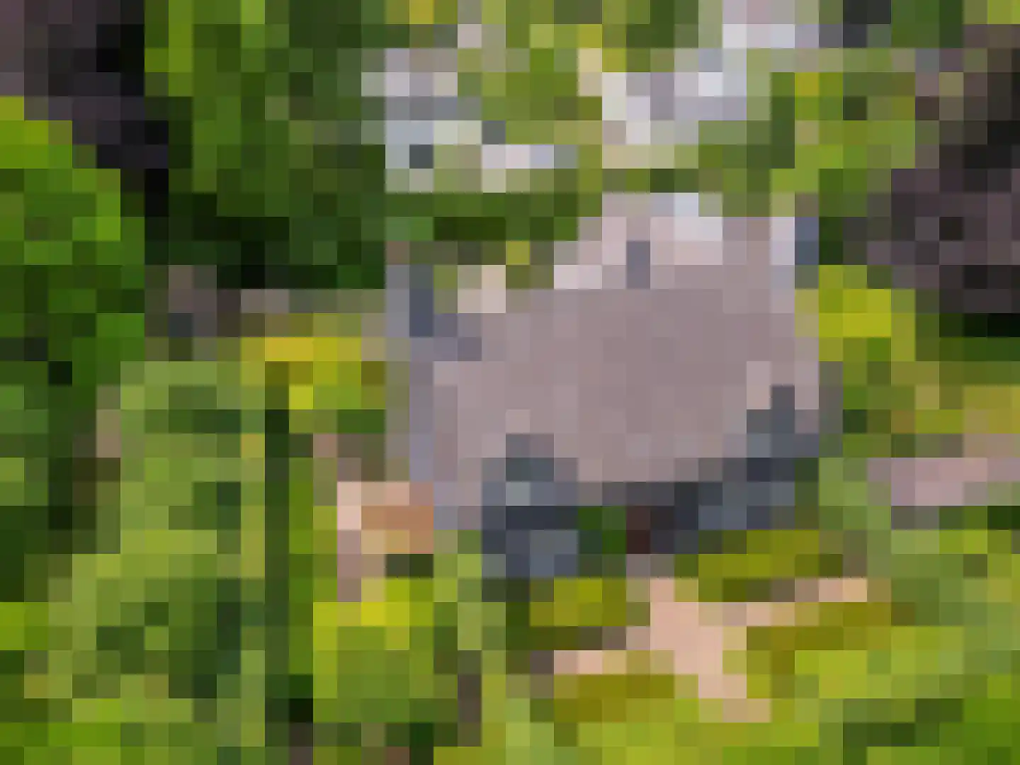 Montenspark 2 B Breda thumbnail 38
