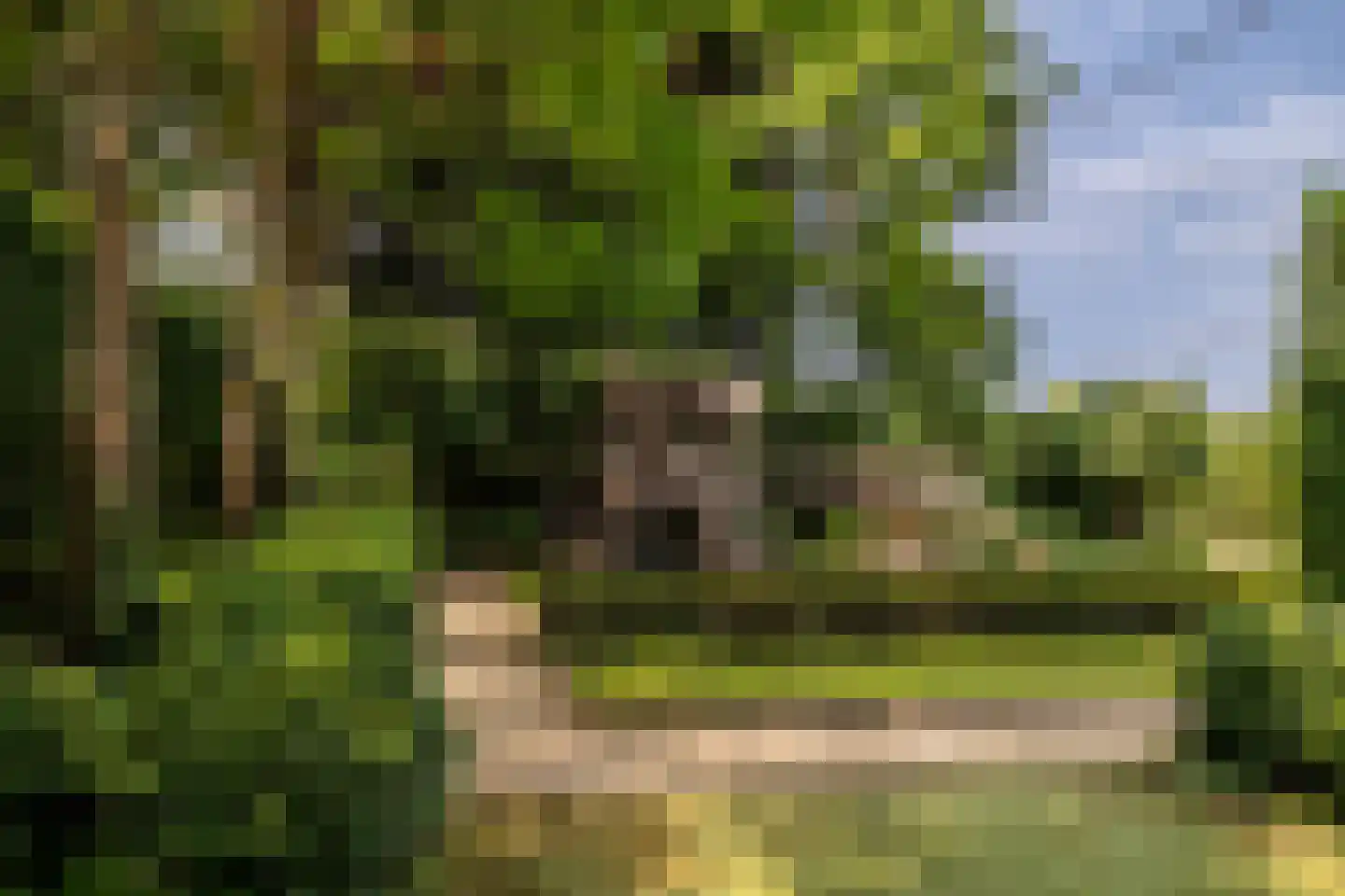 Montenspark 2 B Breda thumbnail 39
