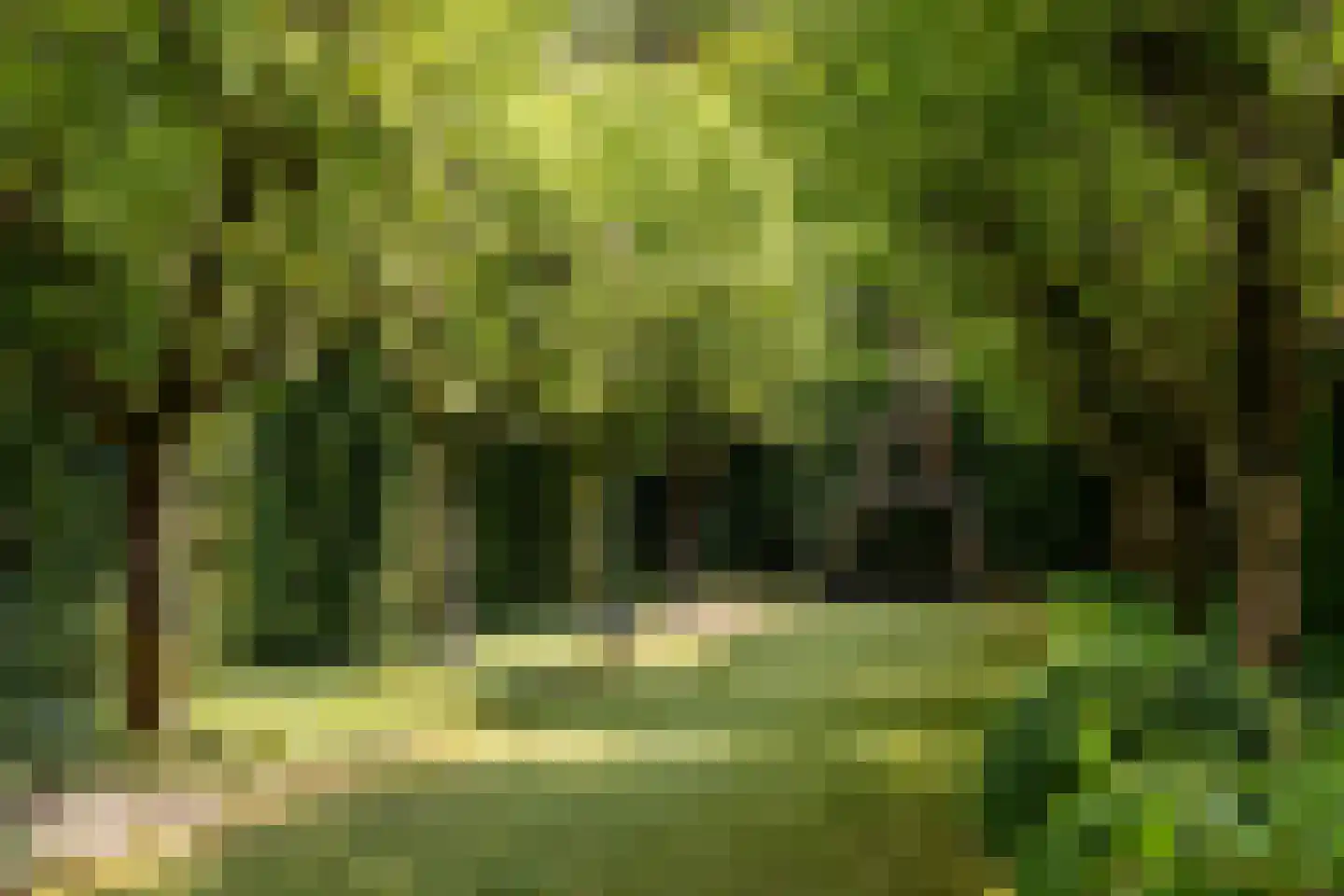 Montenspark 2 B Breda thumbnail 40