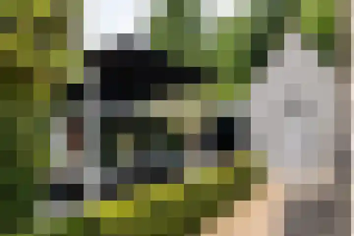 Montenspark 2 B Breda thumbnail 40