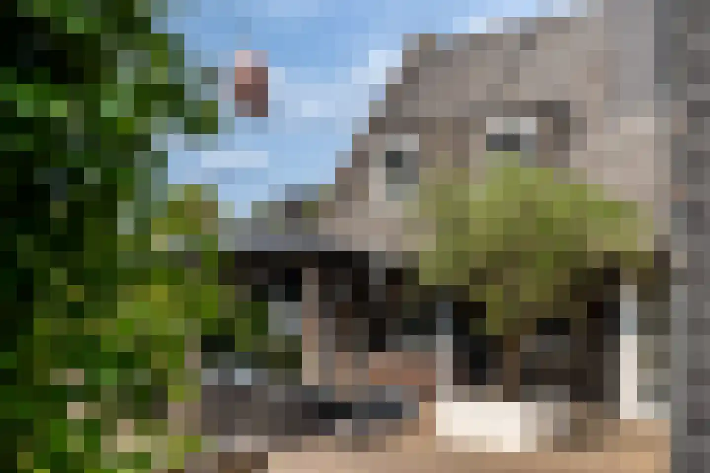 Montenspark 2 B Breda thumbnail 41