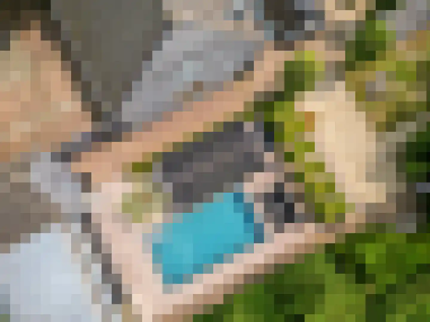 Montenspark 2 B Breda thumbnail 48