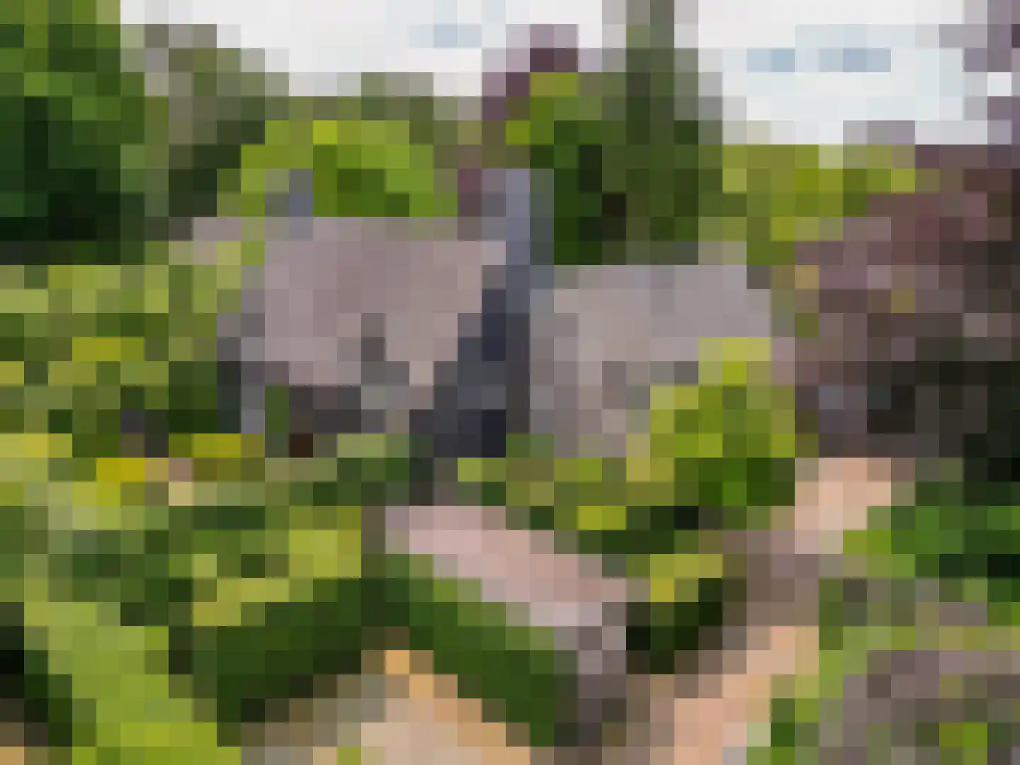 Montenspark 2 B Breda thumbnail 5
