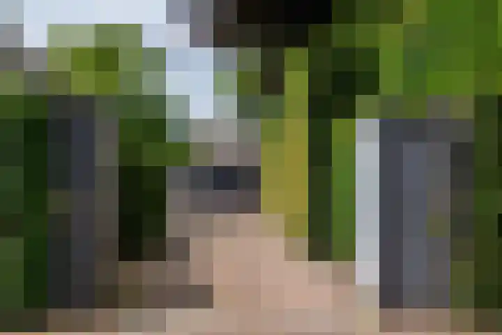 Montenspark 2 B Breda thumbnail 5