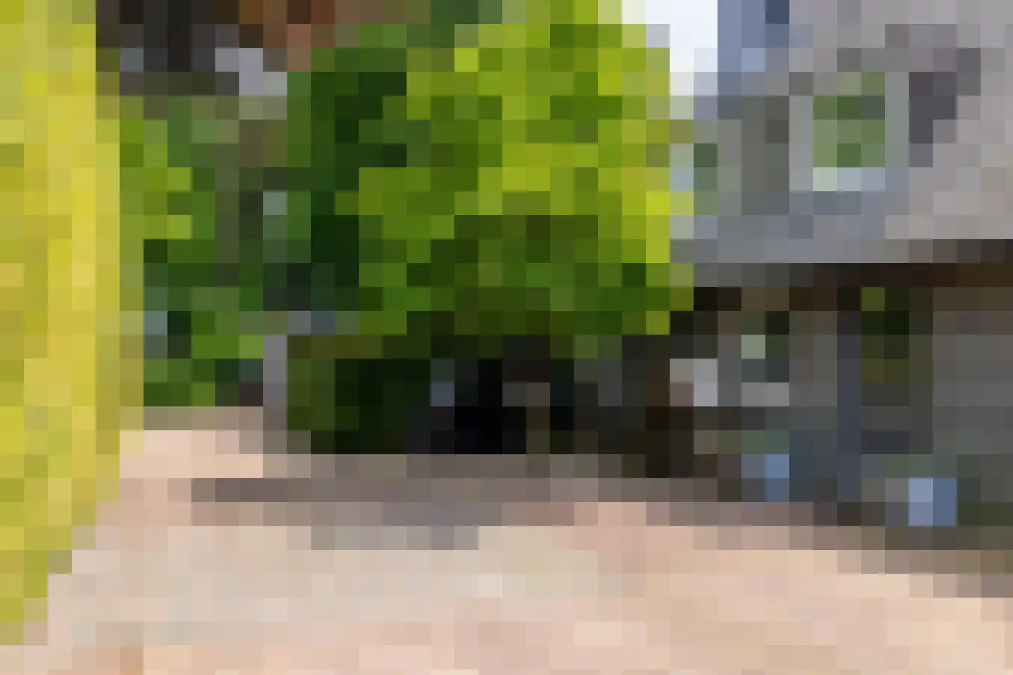 Montenspark 2 B Breda thumbnail 6