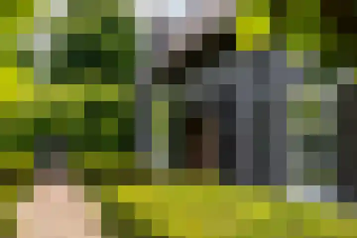 Montenspark 2 B Breda thumbnail 7