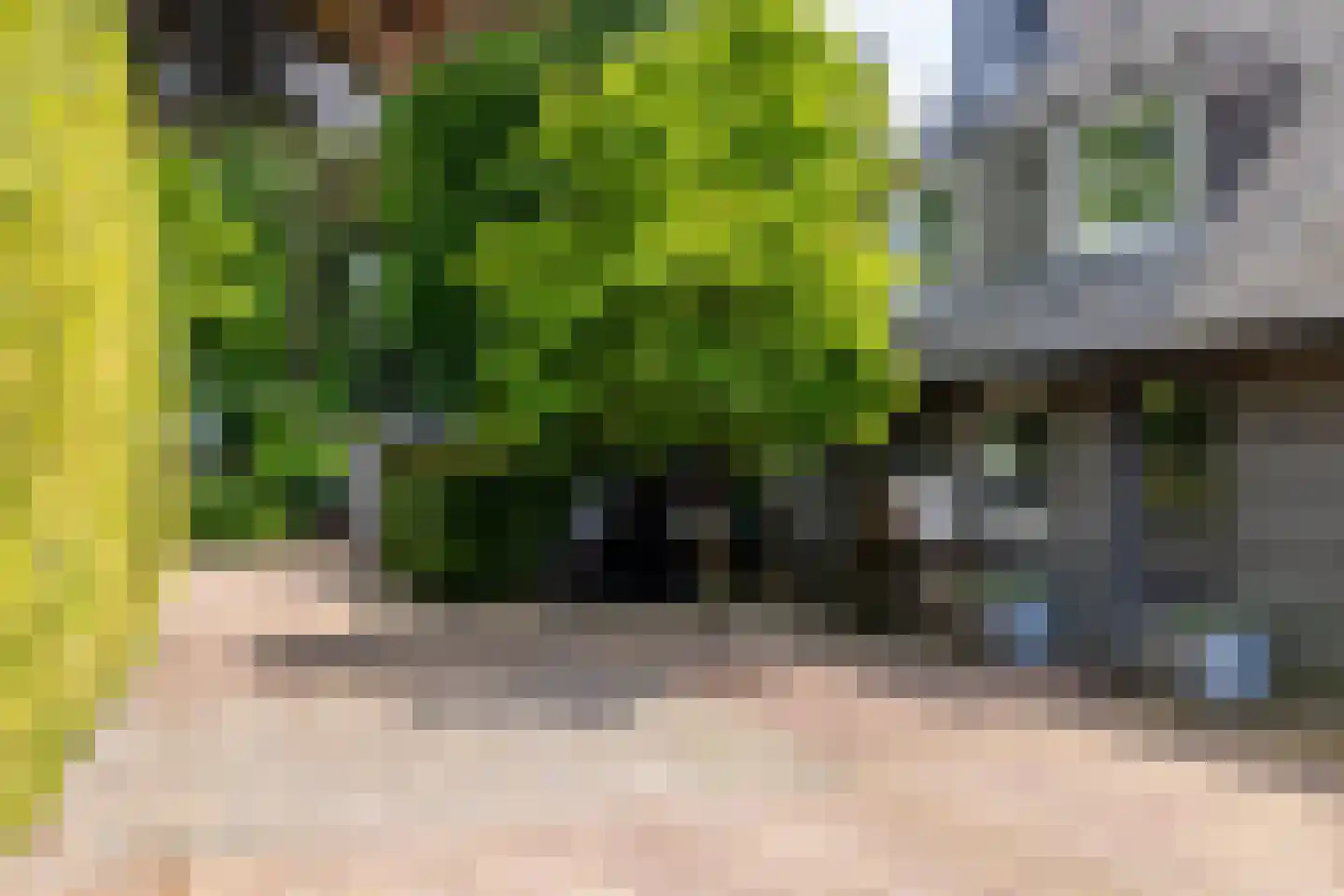 Montenspark 2 B Breda thumbnail 9