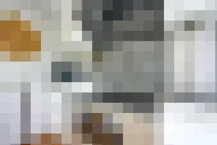 Montessorilaan 14 Zeist thumbnail 13