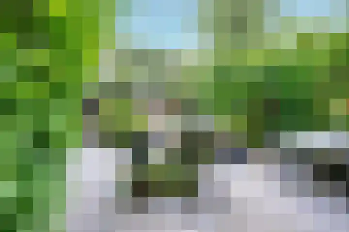 Montessorilaan 14 Zeist thumbnail 16