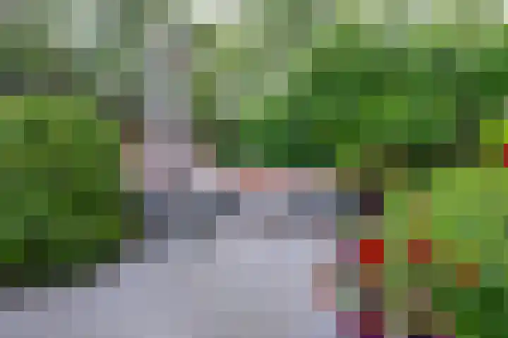 Montessorilaan 14 Zeist thumbnail 18