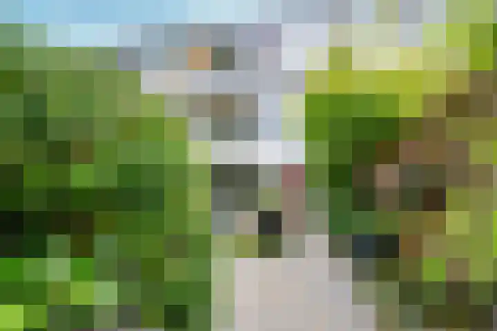 Montessorilaan 14 Zeist thumbnail 19