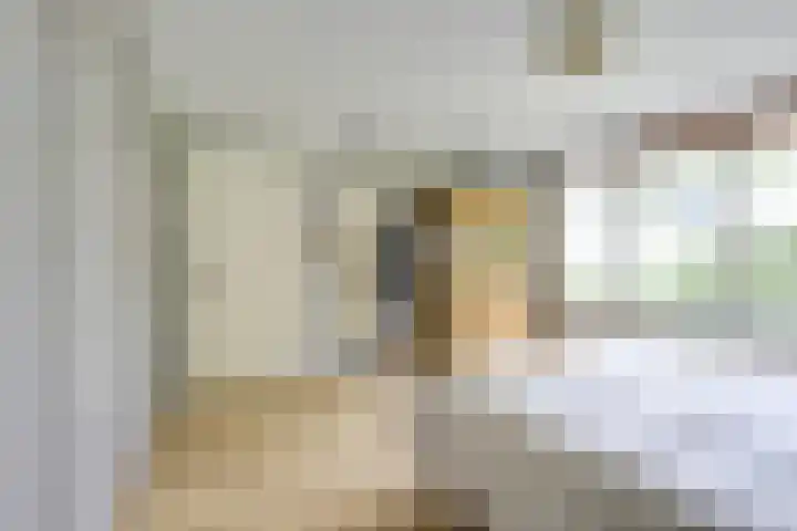 Montessorilaan 14 Zeist thumbnail 22