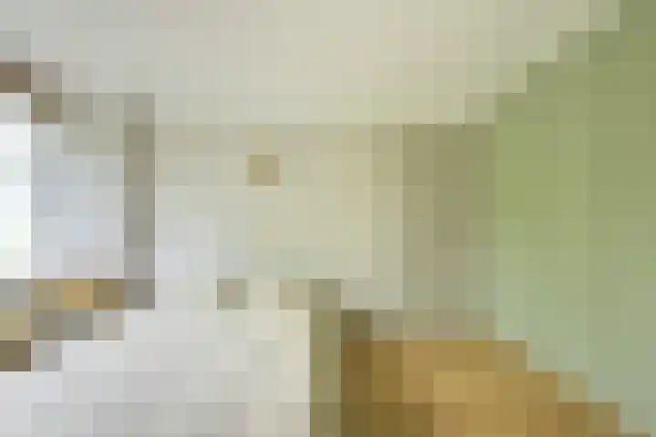 Montessorilaan 14 Zeist thumbnail 31