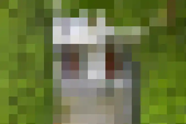 Montessorilaan 14 Zeist thumbnail 40
