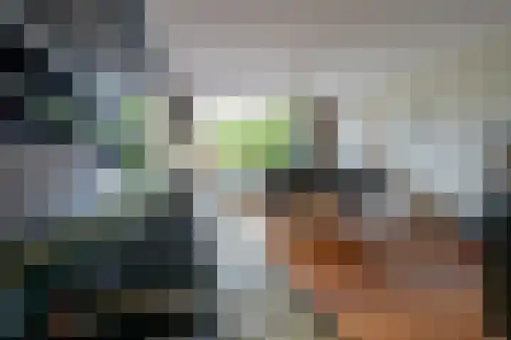 Montessorilaan 14 Zeist thumbnail 6