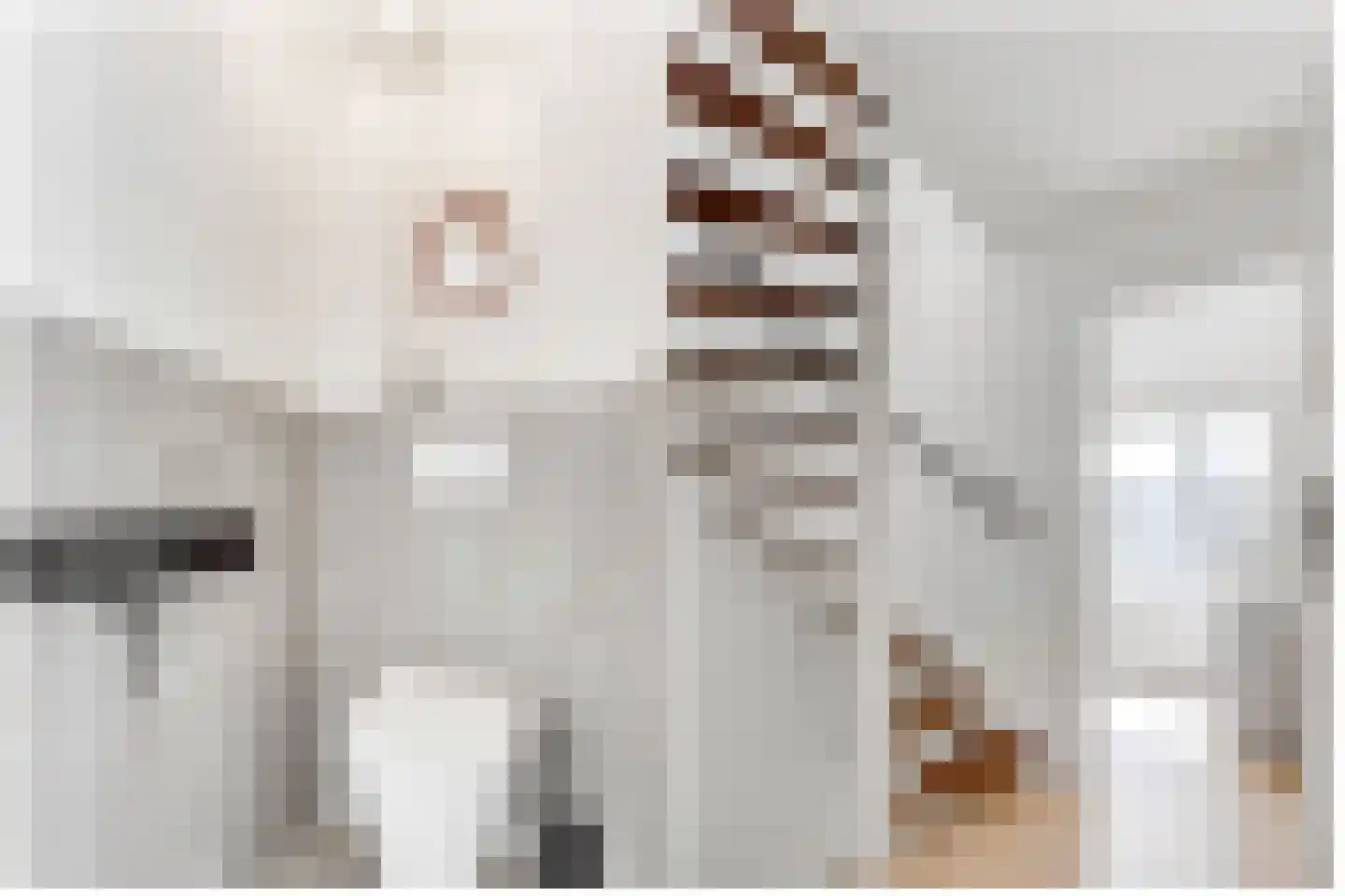 Montessorilaan 24 Zeist thumbnail 15