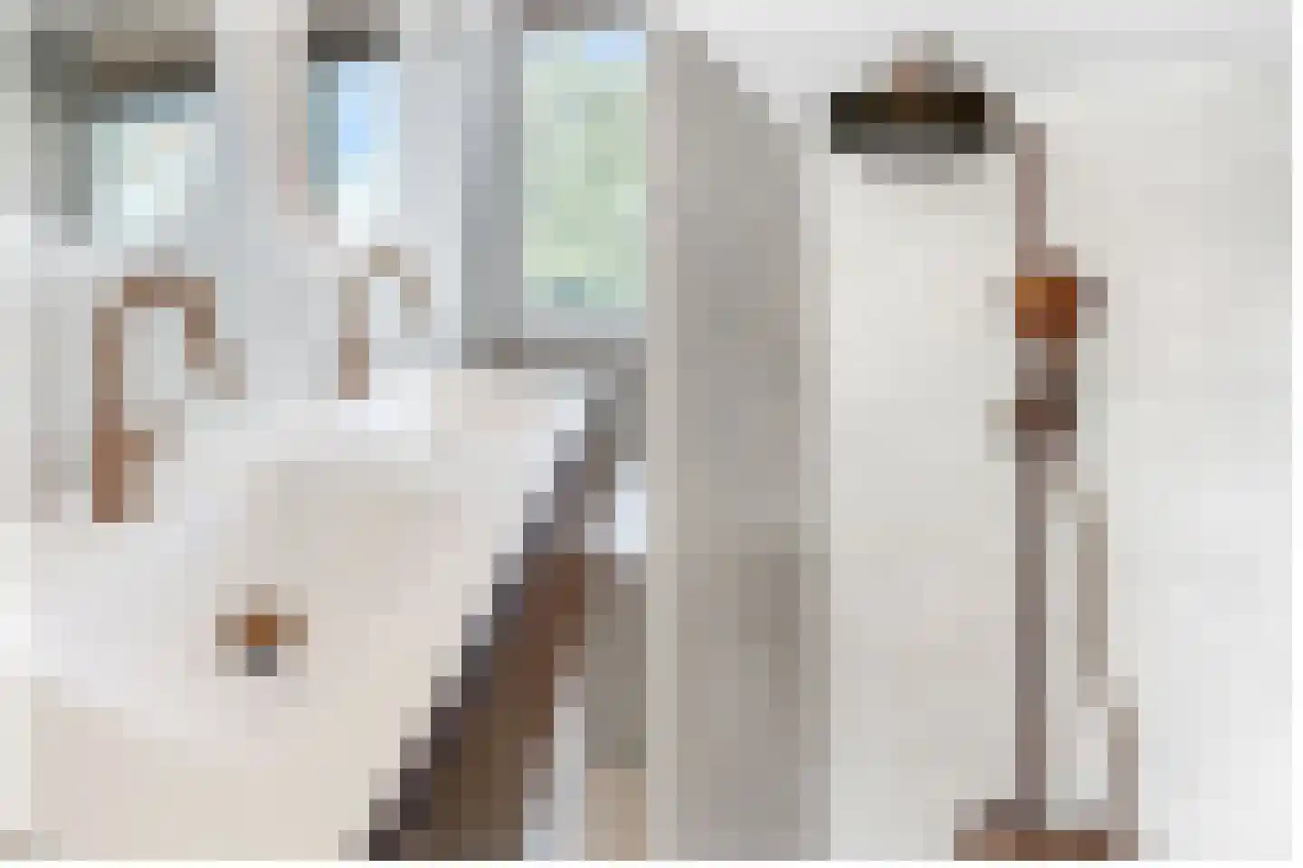 Montessorilaan 24 Zeist thumbnail 24