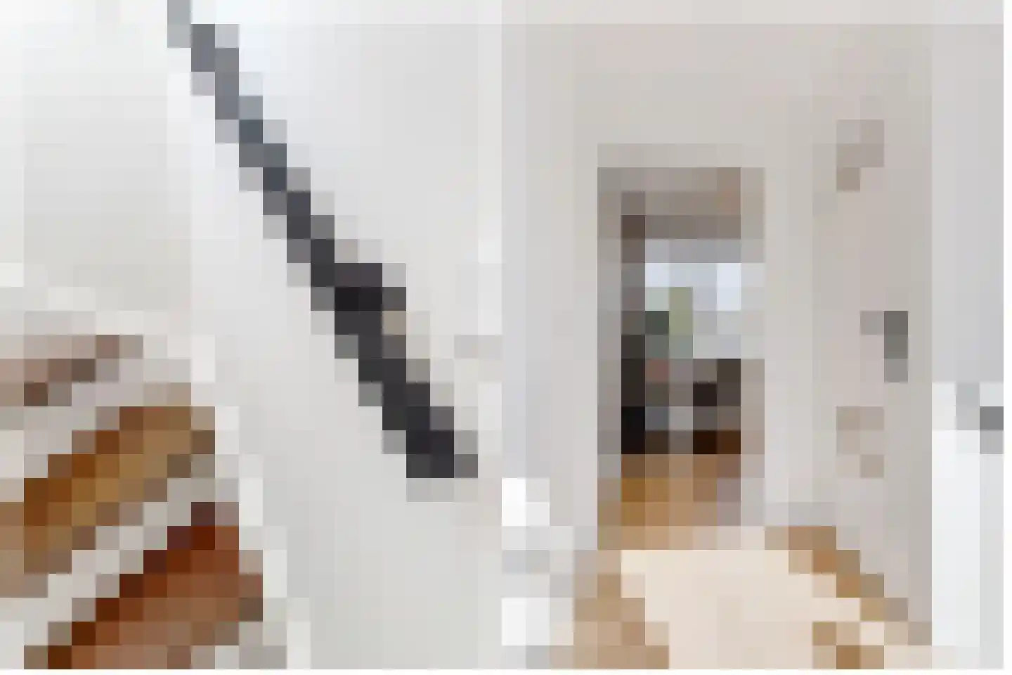 Montessorilaan 24 Zeist thumbnail 26