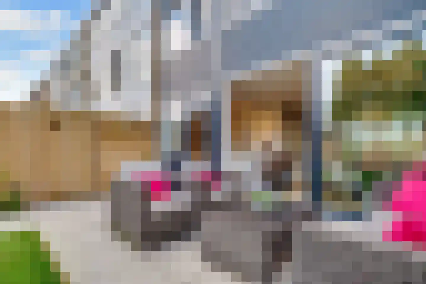Montessorilaan 24 Zeist thumbnail 32