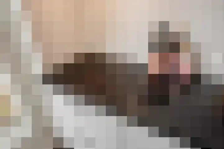Montessoristraat 22 Voorburg thumbnail 13