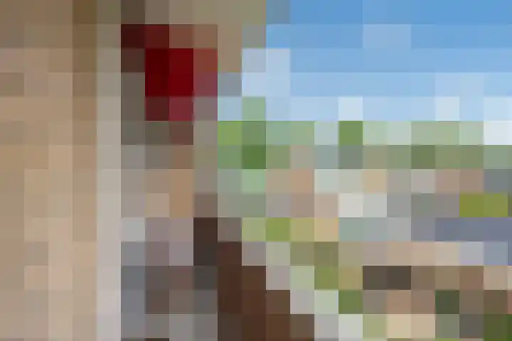 Montessoristraat 22 Voorburg thumbnail 15