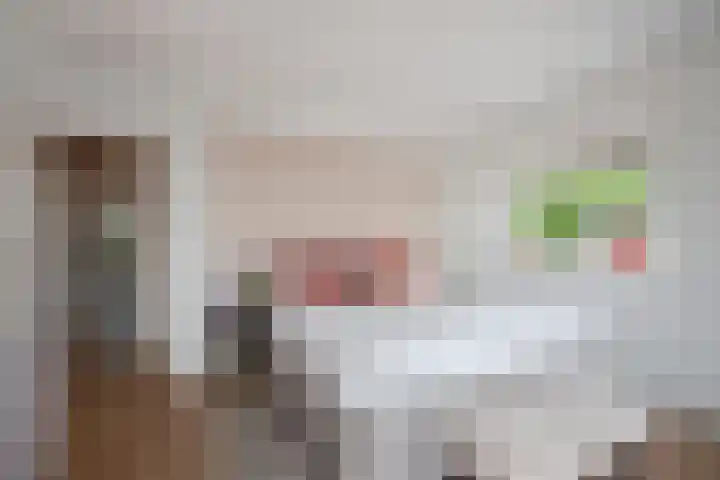 Montessoristraat 22 Voorburg thumbnail 18