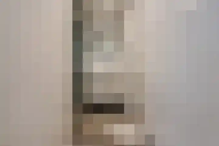 Montessoristraat 22 Voorburg thumbnail 20