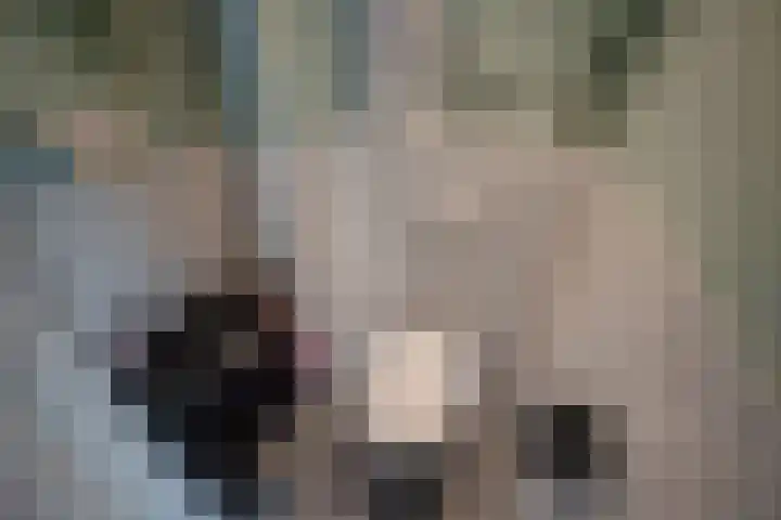 Montessoristraat 22 Voorburg thumbnail 22