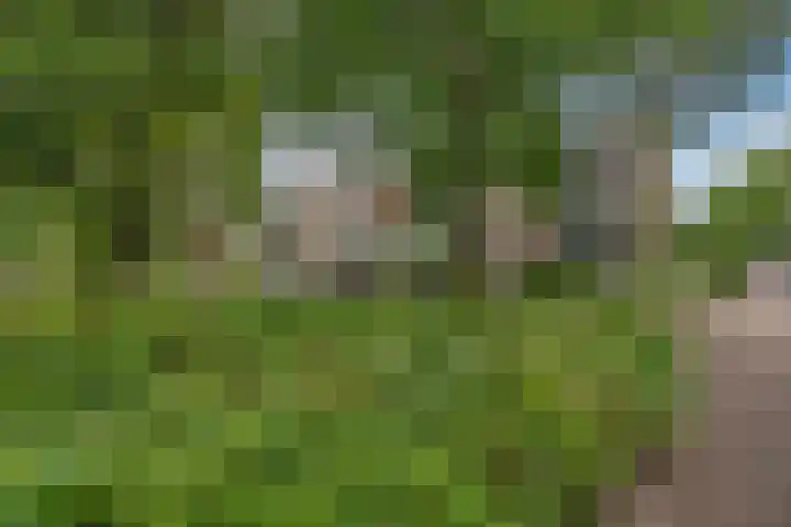 Montessoristraat 22 Voorburg thumbnail 27