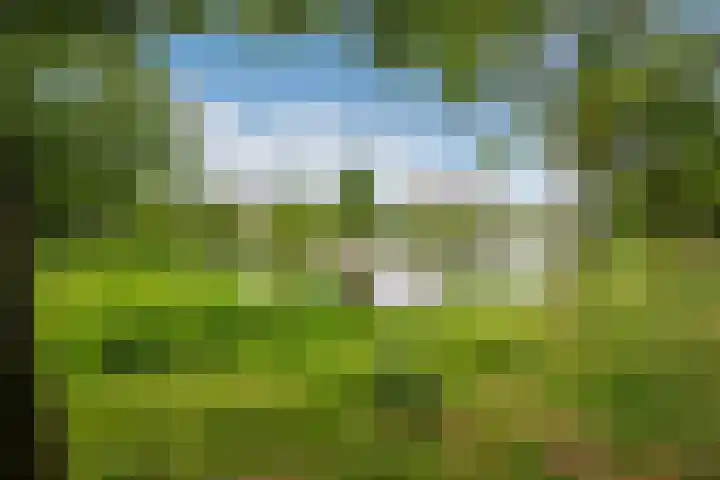 Montessoristraat 22 Voorburg thumbnail 28