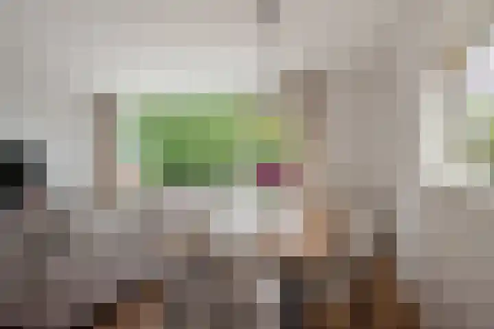 Montessoristraat 22 Voorburg thumbnail 5