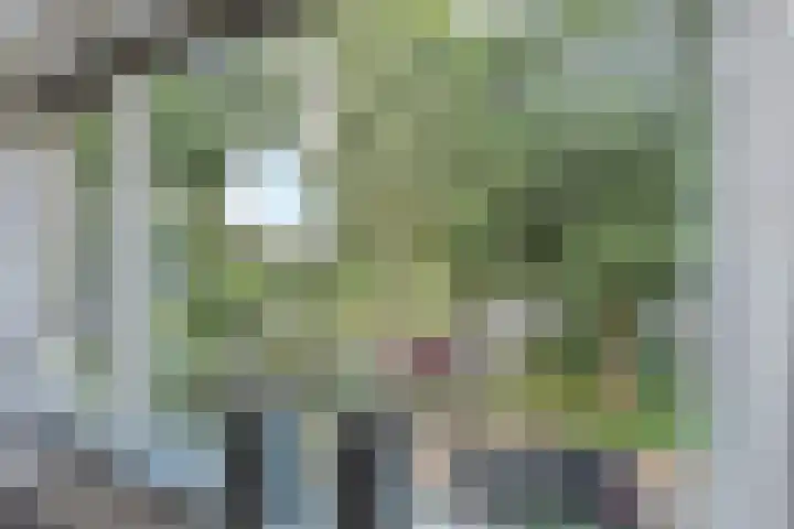Montessoristraat 4 Voorburg thumbnail 10