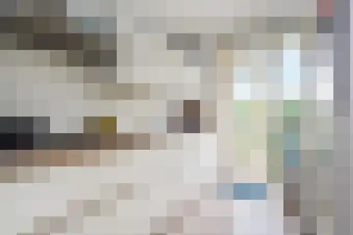 Montessoristraat 4 Voorburg thumbnail 12
