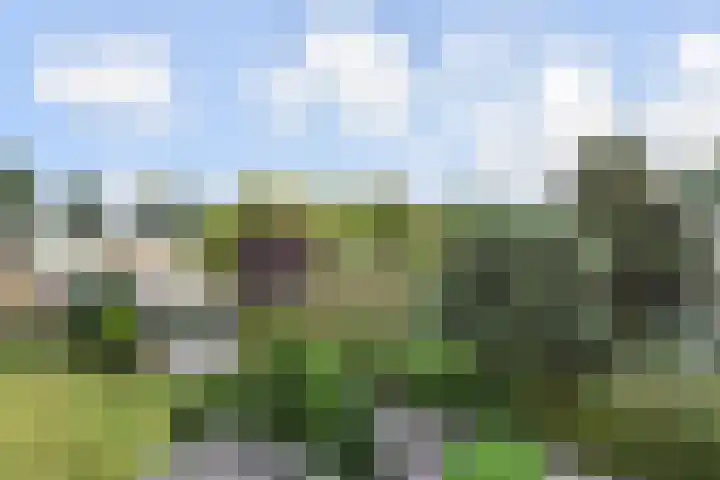 Montessoristraat 4 Voorburg thumbnail 18