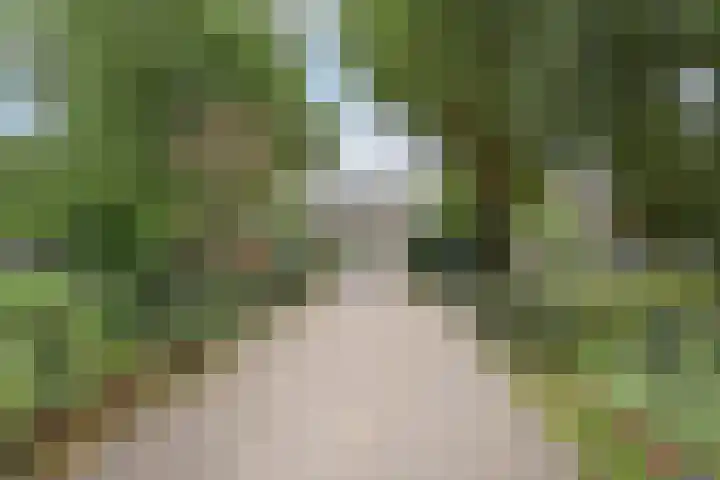 Montessoristraat 4 Voorburg thumbnail 22