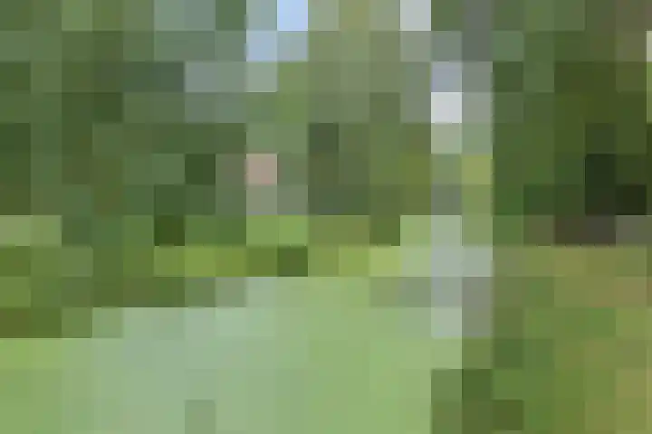 Montessoristraat 4 Voorburg thumbnail 23