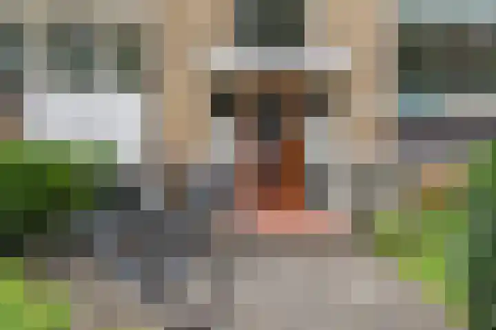 Montessoristraat 4 Voorburg thumbnail 4