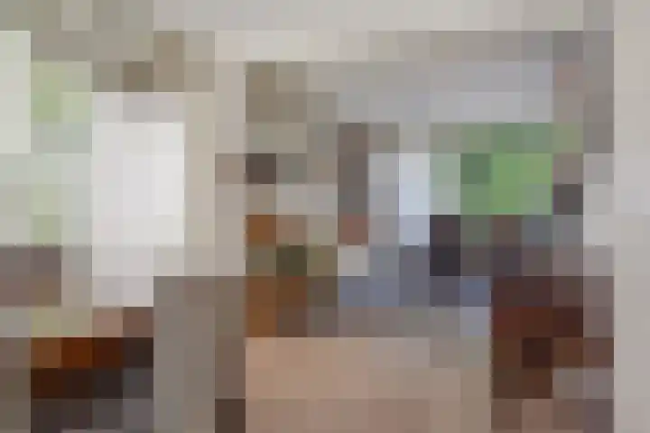 Montessoristraat 4 Voorburg thumbnail 7
