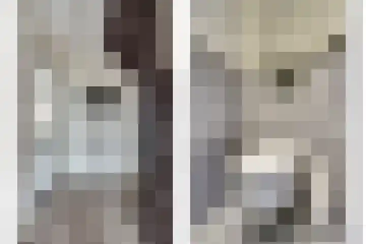 Montessoristraat 6 Kruiningen thumbnail 6