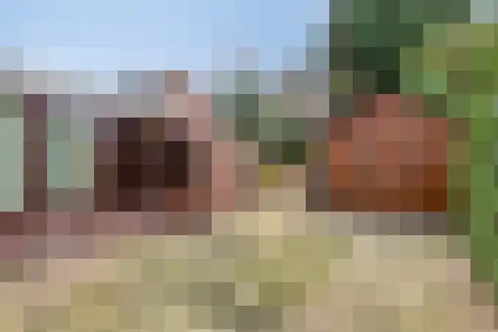 Montestraat 17 's-Heerenberg thumbnail 27