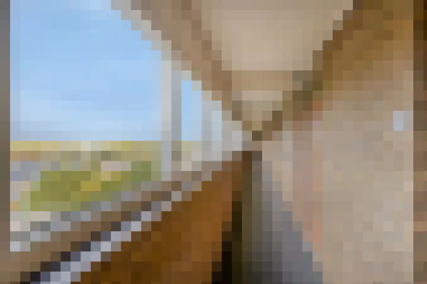 Monteverdilaan 199 Zwolle thumbnail 5