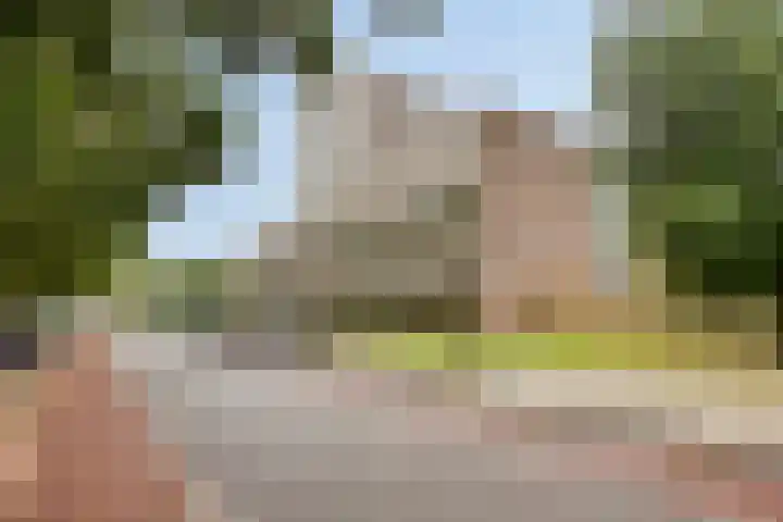 Monteverdilaan 249 Zwolle thumbnail 32