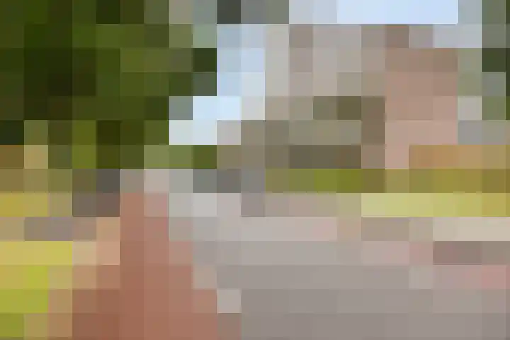 Monteverdilaan 249 Zwolle thumbnail 33