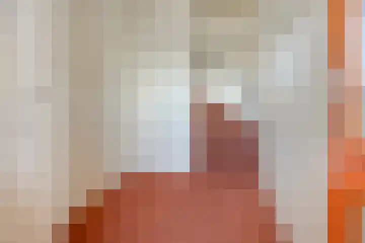 Monteverdilaan 249 Zwolle thumbnail 6