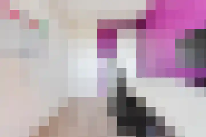 Monteverdilaan 29 Zwolle thumbnail 33