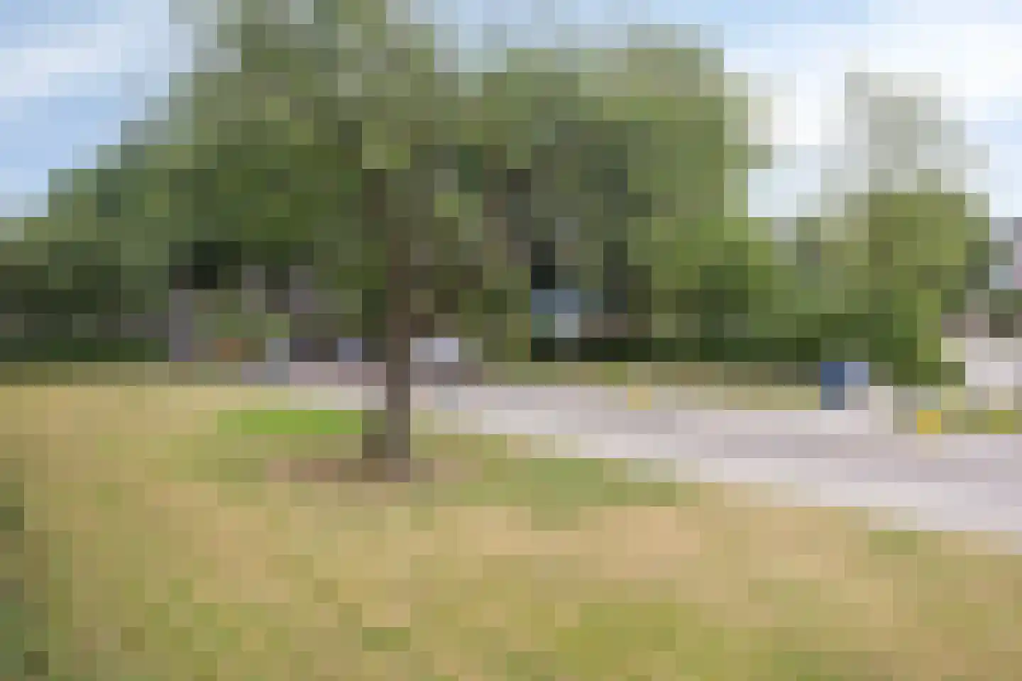 Monteverdilaan 29 Zwolle thumbnail 33