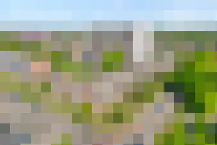 Monteverdilaan 29 Zwolle thumbnail 4